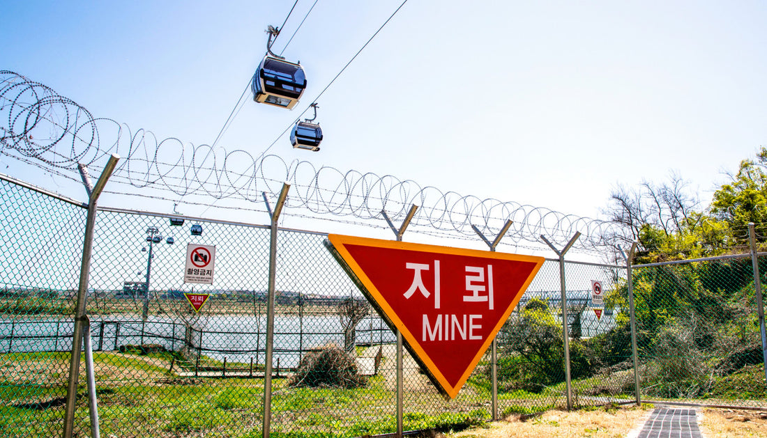 Exploring Korea's DMZ: A Journey into History and Hope