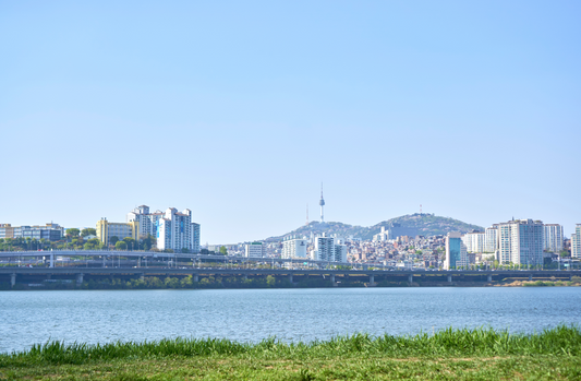 Discover the Best Activities on the Han River: From Eland Cruise to Han River Chimaek