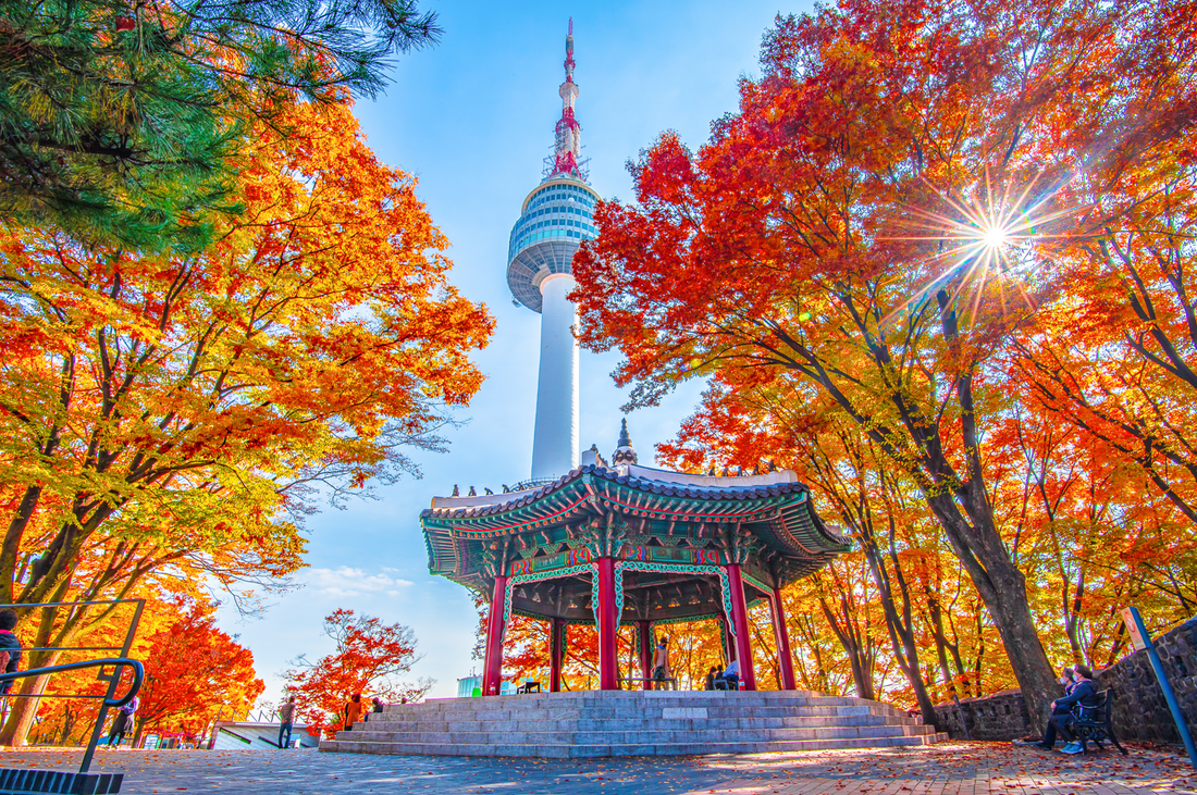 A Perfect Autumn Day: Exploring Namsan in Fall