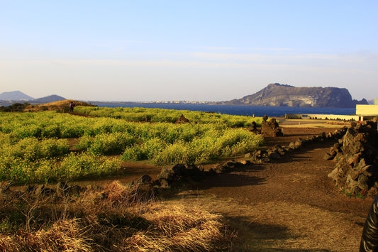 September in Jeju: A Refreshing Autumn Getaway