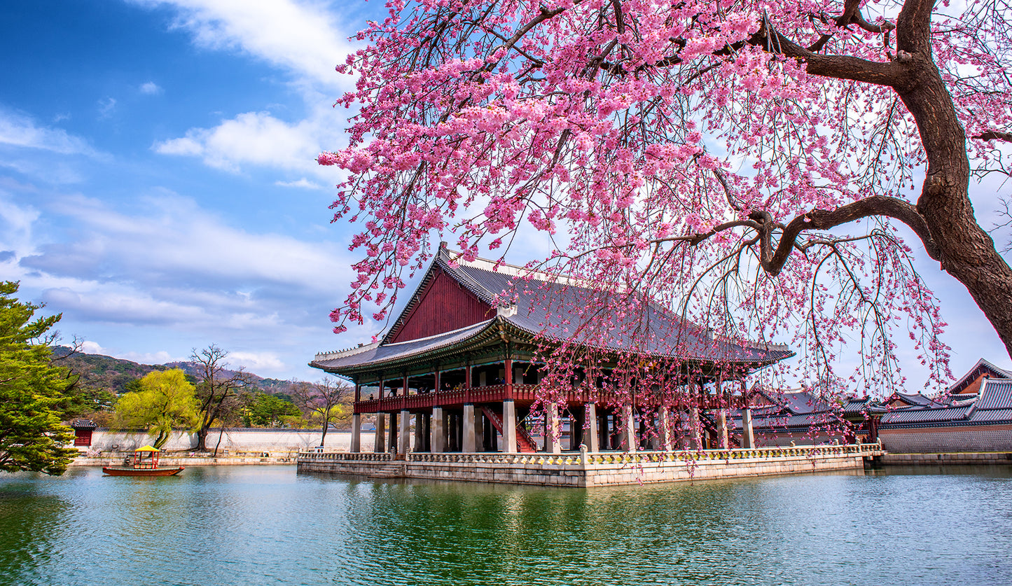 ⛩️Gyeongbokgung Palace Tour