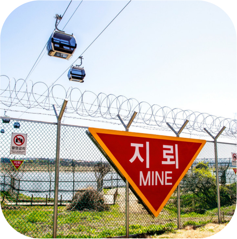 ❇️DMZ Tour (1D Package, 1 day tour , 1 day program)